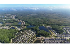 13203 BLISSFIELD, ODESSA, FL 33556 - MLS#MFRTB8511155