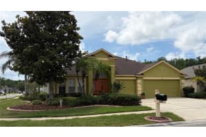 19640 BERGENFELD DRIVE, LAND O LAKES, FL 34638 - MLS#MFRTB8511157