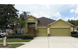 19640 BERGENFELD DRIVE, LAND O LAKES, FL 34638 - MLS#MFRTB8511157