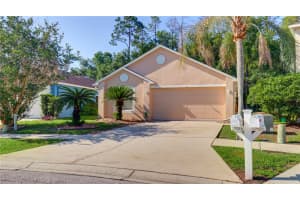30316 DOUBLE DRIVE, WESLEY CHAPEL, FL 33545 - MLS#MFRTB8511163