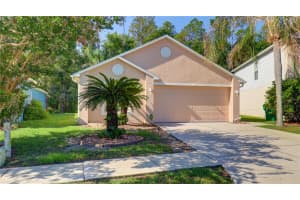30316 DOUBLE DRIVE, WESLEY CHAPEL, FL 33545 - MLS#MFRTB8511163