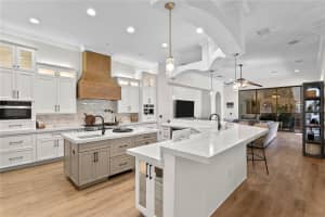 16303 DUNLINDALE DRIVE, LITHIA, FL 33547 - MLS#MFRTB8511210