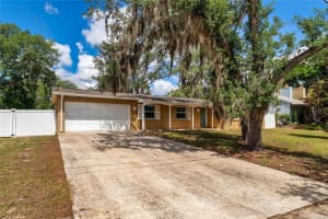 10214 N Woodmere Rd, TAMPA 10214 N Woodmere Rd, TAMPA