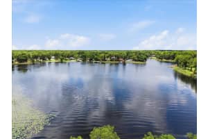 15612 HOWELL PARK LANE, TAMPA, FL 33625 - MLS#MFRTB8511294
