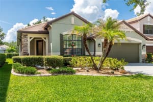 20305 Ash Grove Ln, TAMPA 20305 Ash Grove Ln, TAMPA