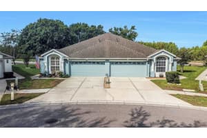 19238 WEYMOUTH DRIVE, LAND O LAKES, FL 34638 - MLS#MFRTB8511301