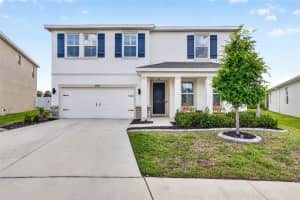 13793 WINEBERRY DRIVE, DADE CITY, FL 33525 - MLS#MFRTB8511304