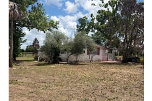 10006 CAUSEY PL, THONOTOSASSA, FL 33592 - MLS#MFRTB8511319