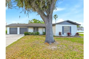 18320 Dolly Brook Ln, LUTZ