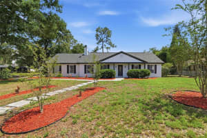 1401 ANDREA COURT, BRANDON, FL 33511 - MLS#MFRTB8511371