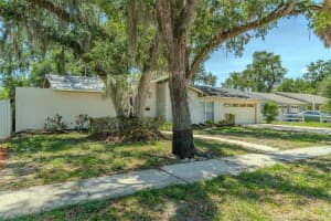 8018 POCAHONTAS AVENUE, TAMPA, FL 33615 - MLS#MFRTB8511378