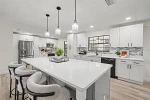 1015 HASTINGS COURT, LUTZ, FL 33548 - MLS#MFRTB8511385