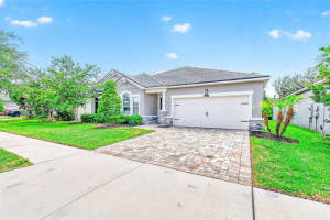 10606 PLANER PICKET DRIVE, RIVERVIEW, FL 33569 - MLS#MFRTB8511387