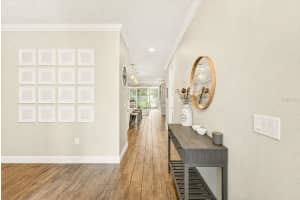 10606 PLANER PICKET DRIVE, RIVERVIEW, FL 33569 - MLS#MFRTB8511387