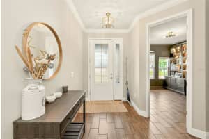 10606 PLANER PICKET DRIVE, RIVERVIEW, FL 33569 - MLS#MFRTB8511387