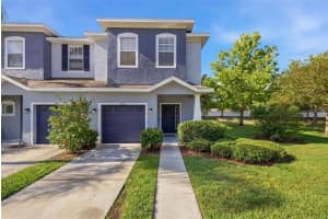 4532 Amberly Oaks Ct, TAMPA