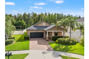 19476 Paddock View Dr, TAMPA