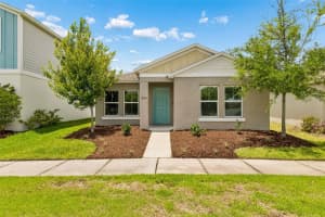 12621 HAMMOCK PARK DRIVE, RIVERVIEW, FL 33579 - MLS#MFRTB8511447