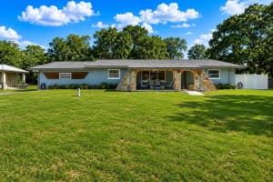 11519 BELMACK BOULEVARD, ODESSA, FL 33556 - MLS#MFRTB8511462