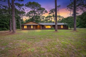 15337 VIRTS AVENUE, BROOKSVILLE, FL 34604 - MLS#MFRTB8511487