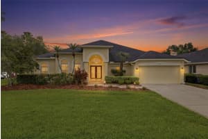 11902 WANDSWORTH DRIVE, TAMPA, FL 33626 - MLS#MFRTB8511510