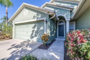 16641 FAIRBOLT WAY, ODESSA, FL 33556 - MLS#MFRTB8511512