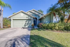 16641 FAIRBOLT WAY, ODESSA, FL 33556 - MLS#MFRTB8511512