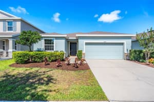 16619 Goose Ribbon Pl, WIMAUMA 16619 Goose Ribbon Pl, WIMAUMA