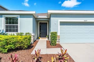 16619 GOOSE RIBBON PLACE, WIMAUMA, FL 33598 - MLS#MFRTB8511525