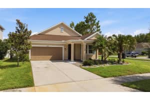 14831 TRAILS EDGE BOULEVARD, ODESSA, FL 33556 - MLS#MFRTB8511602