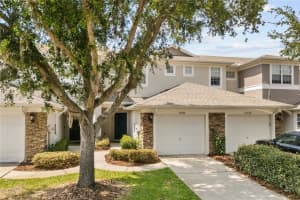 10306 Stone Moss Ave, TAMPA 10306 Stone Moss Ave, TAMPA