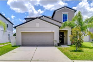 4321 Globe Thistle Dr, TAMPA 4321 Globe Thistle Dr, TAMPA