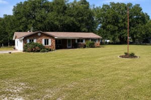 13124 160TH AVENUE, MORRISTON, FL 32668 - MLS#MFRTB8511652