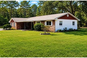 13124 160TH AVENUE, MORRISTON, FL 32668 - MLS#MFRTB8511652