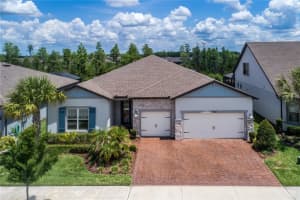 19133 Ship Wheel Way, LAND O LAKES