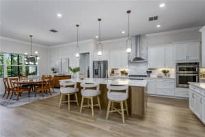 19133 SHIP WHEEL WAY, LAND O LAKES, FL 34638 - MLS#MFRTB8511679