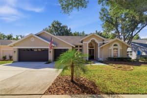 15932 ELLSWORTH DRIVE, TAMPA, FL 33647 - MLS#MFRTB8511680