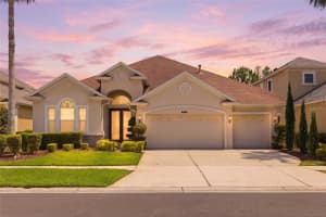8309 Old Town Dr, TAMPA