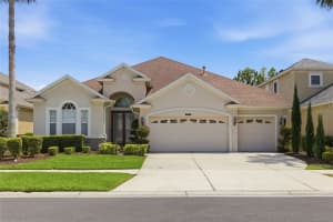 8309 OLD TOWN DRIVE, TAMPA, FL 33647 - MLS#MFRTB8511682