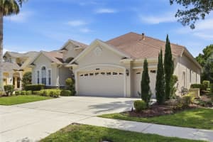 8309 OLD TOWN DRIVE, TAMPA, FL 33647 - MLS#MFRTB8511682