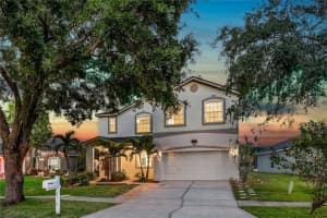 8518 TIDAL BAY LANE, TAMPA, FL 33635 - MLS#MFRTB8511684