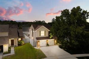 11814 WILDFIRE WAY, TAMPA, FL 33635 - MLS#MFRTB8511702