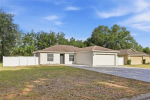 313 FOGGY CREEK ROAD, DAVENPORT, FL 33837 - MLS#MFRTB8511704