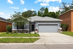 8515 Tidal Breeze Dr, RIVERVIEW 8515 Tidal Breeze Dr, RIVERVIEW