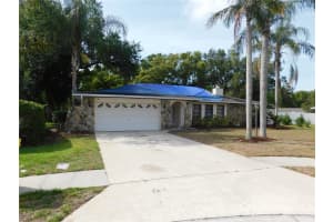 70 CITRUS COURT, PALM HARBOR, FL 34683 - MLS#MFRTB8511739