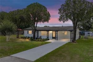 37136 MANDARIN AVENUE, ZEPHYRHILLS, FL 33541 - MLS#MFRTB8511769