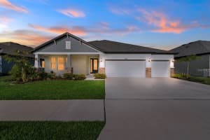 8840 MUGNAI STREET, RIVERVIEW, FL 33578 - MLS#MFRTB8511779