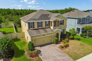 1192 MULTIFLORA LOOP, LUTZ, FL 33558 - MLS#MFRTB8511796