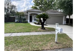 26815 ROSEANN PLACE, LUTZ, FL 33559 - MLS#MFRTB8511878