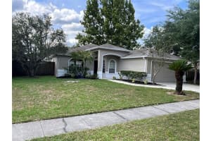 26815 ROSEANN PLACE, LUTZ, FL 33559 - MLS#MFRTB8511878